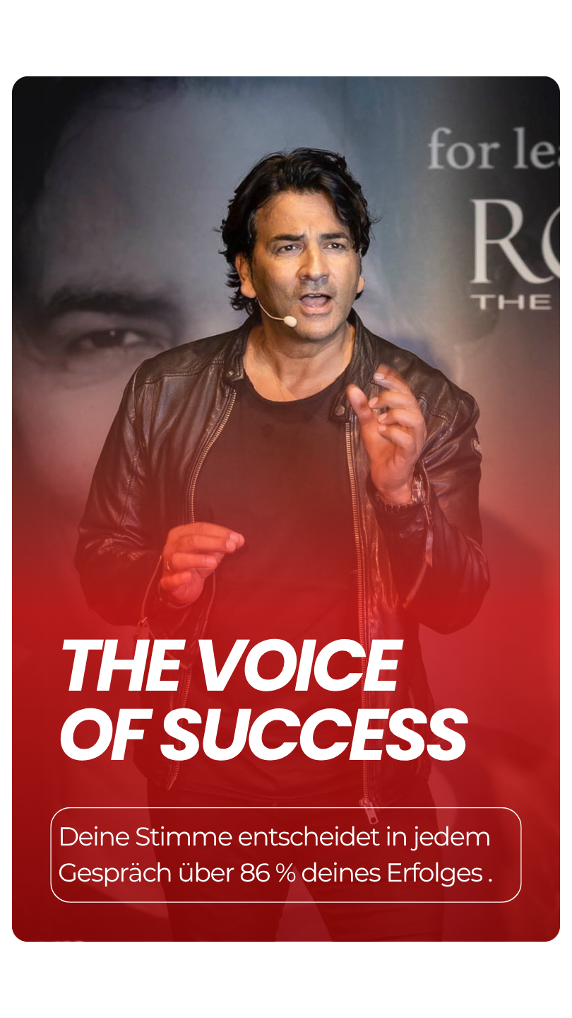 Robin D. Stimme Rhetorik Präsentation Voss Borbonus